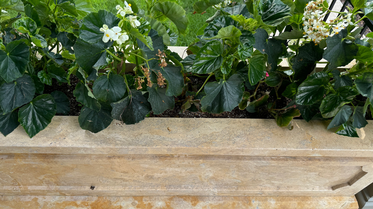 Elegance in Stone: Custom Travertine Trough Planter set of two
