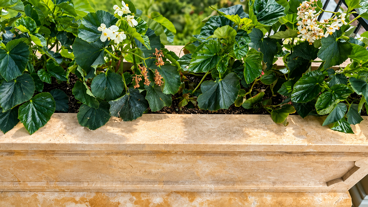 Elegance in Stone: Custom Travertine Trough Planter set of two
