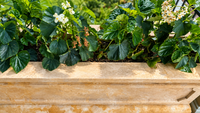 Elegance in Stone: Custom Travertine Trough Planter set of two
