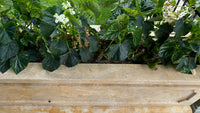 Elegance in Stone: Custom Travertine Trough Planter set of two